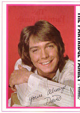 Partridge Family, The - Shopping Bag (Vinyl) Image